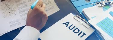 Audit QSE