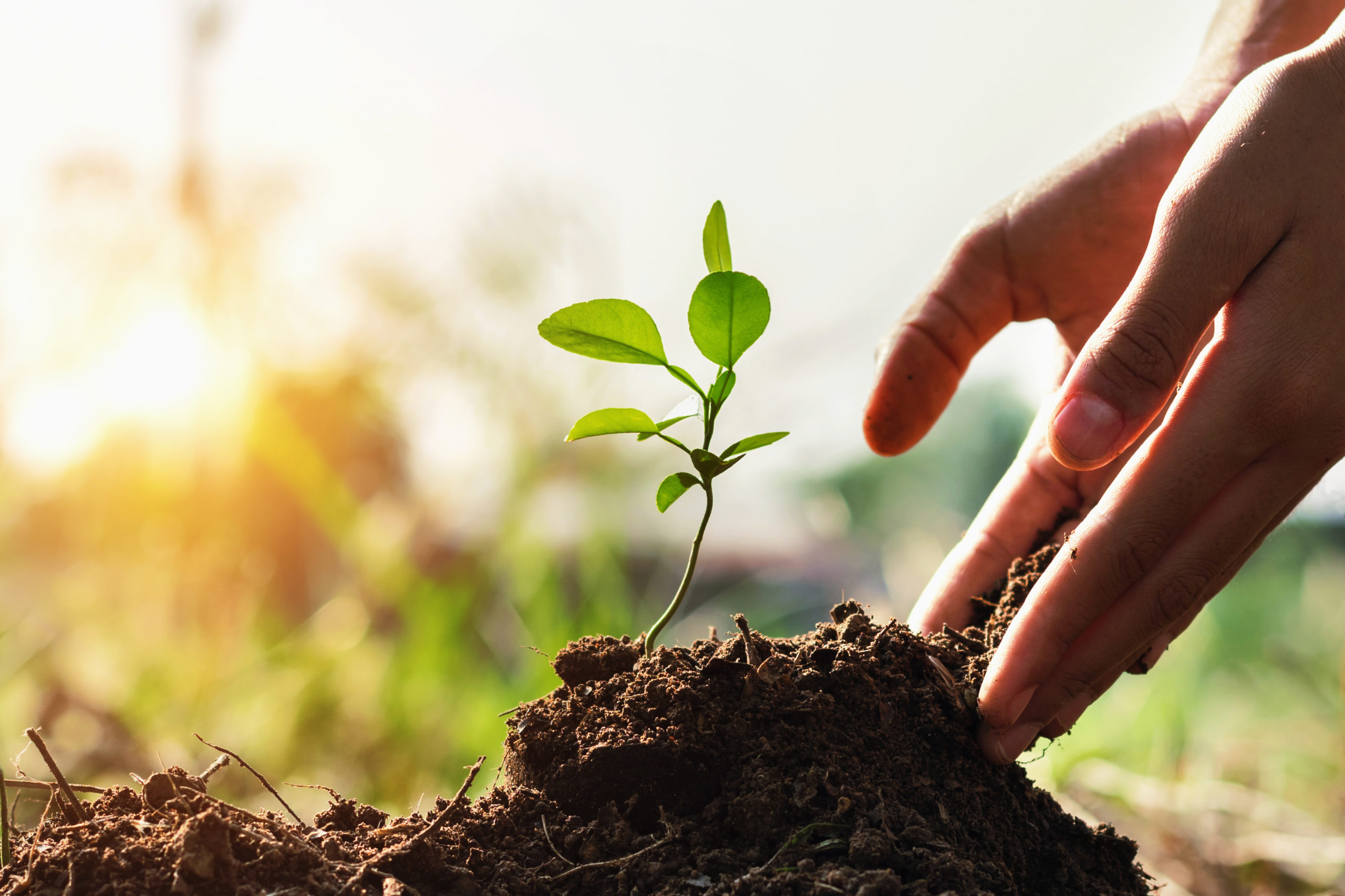 Conseil Environnement